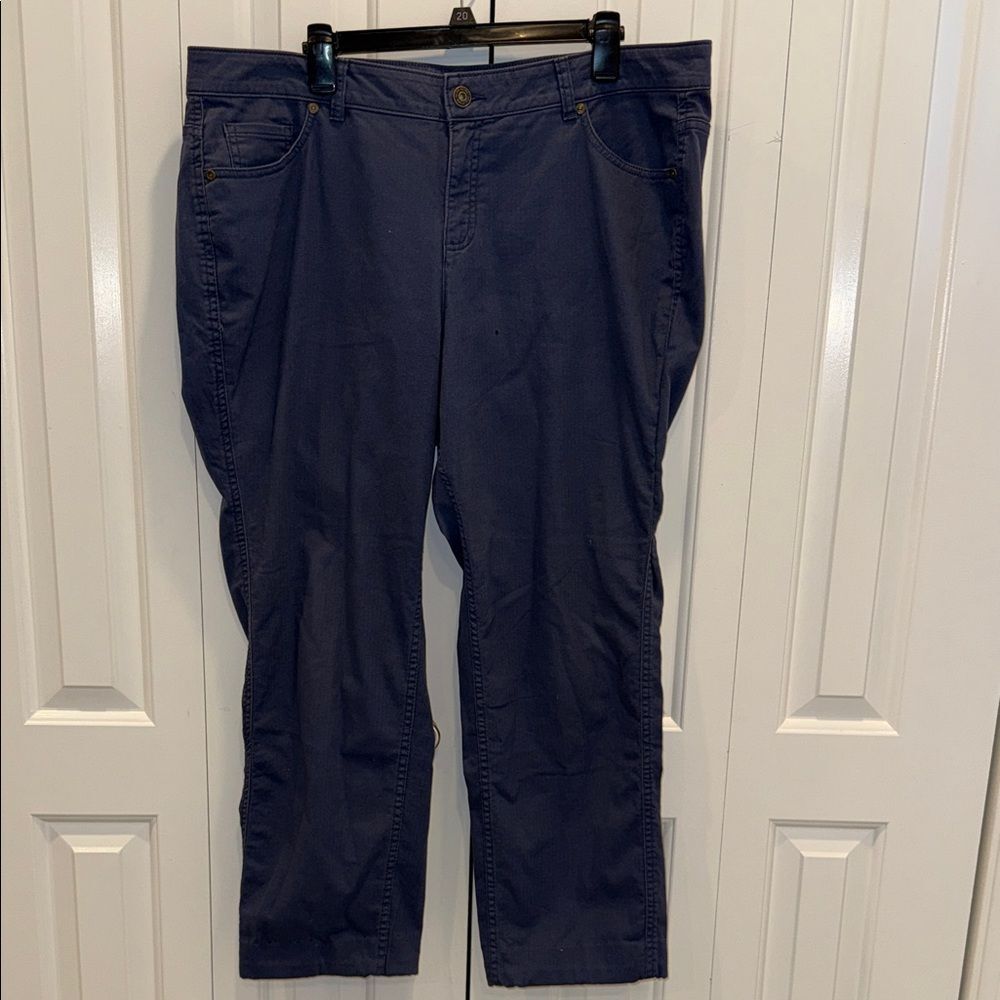 Ruff Hewn Navy Blue pants